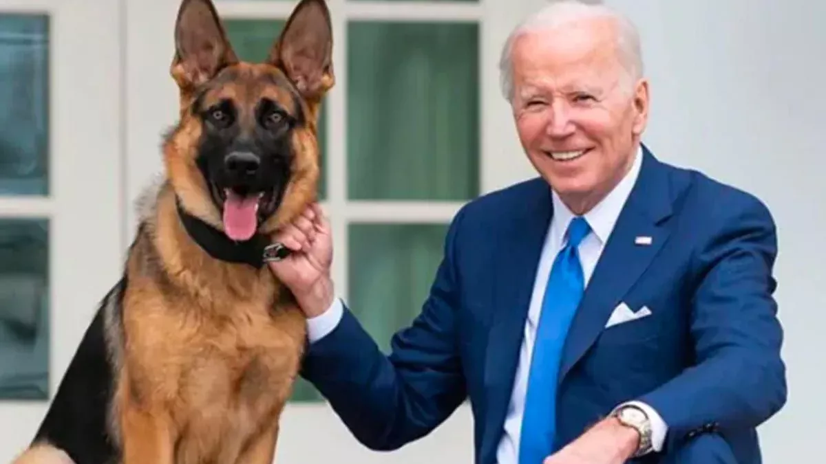 حاكمة داكوتا الأمريكية تطالب بقتل كلب بايدن