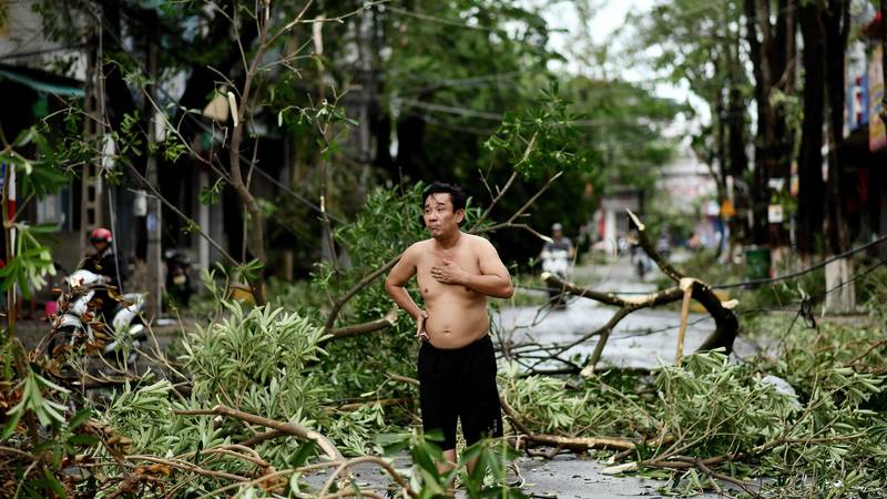 «مولاف» يقتلع الأشجار في فيتنام