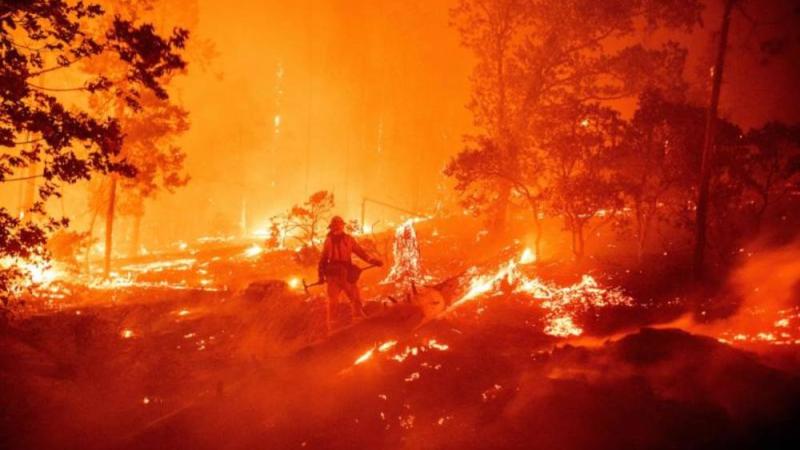 بسبب التلوث الناجم عن حرائق كاليفورنيا.. وفاة 52000 خلال عقد