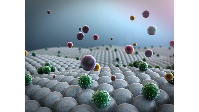 تعمل التي الجسم والأجسام الخلايا الغريبة الفيروسات مهاجمة تغزو على هي التي الخلايا التي