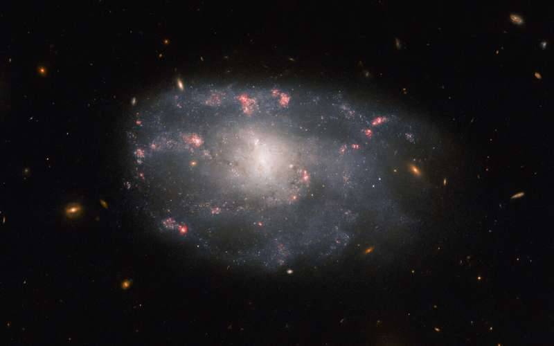 Hubble observes a spiral galaxy  Gulf newspaper