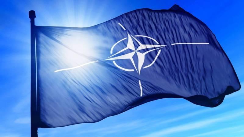 Official appointed by NATO to oversee aid to Ukraine