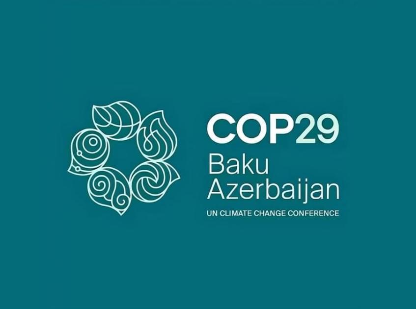 ‏«COP 29» يقـر هدف باكو المالي بـ 1.3 تريليون دولار | صحيفة الخليج